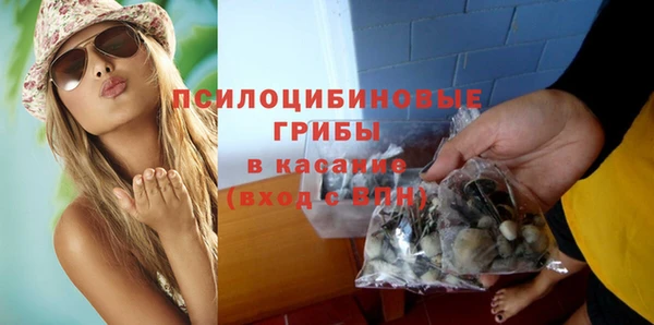тгк Алексин