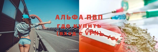 ГАЛЛЮЦИНОГЕННЫЕ ГРИБЫ Няндома