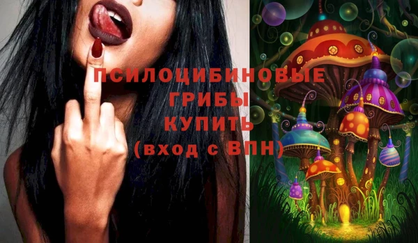 тгк Алексин