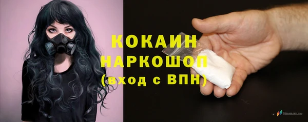 соль ск Алзамай