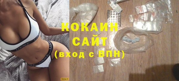 тгк Алексин