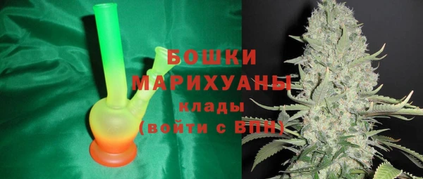 ГАЛЛЮЦИНОГЕННЫЕ ГРИБЫ Няндома