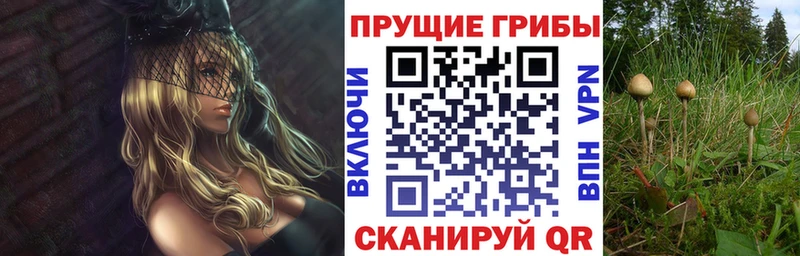 Галлюциногенные грибы мицелий  ссылка на мегу как зайти  Куртамыш 